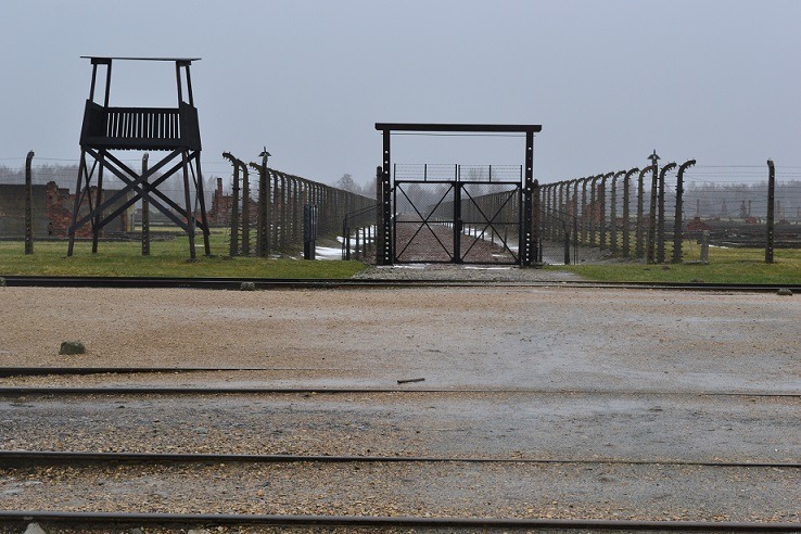 birkenau_cloture